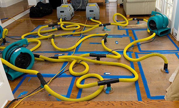 Professional Storm Water Damage Restoration technician working in Bear Creek, NC